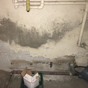 wet-basements-hilliard-oh-everdry-waterproofing-of-columbus-2